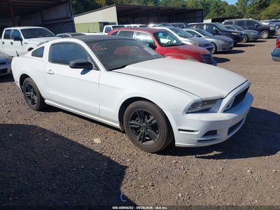 2013 Ford Mustang