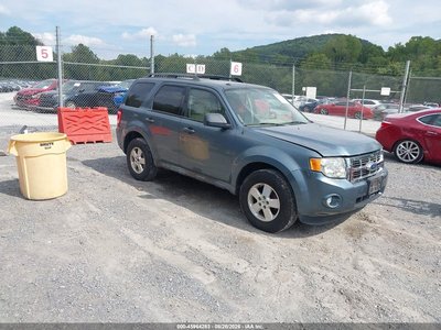2011 Ford Escape