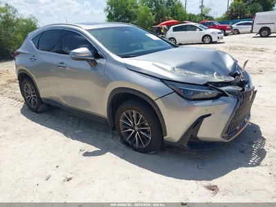 2025 Lexus NX