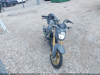 2024 Kawasaki Br125