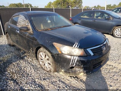 2010 Honda Accord