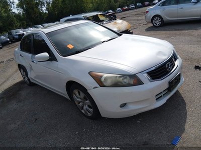 2010 Honda Accord
