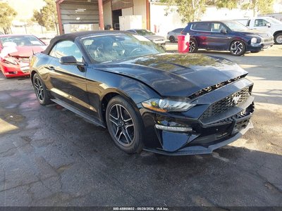 2023 Ford Mustang
