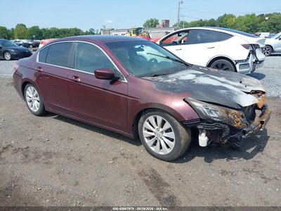 2011 Honda Accord