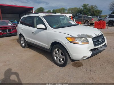 2009 Hyundai Santa Fe