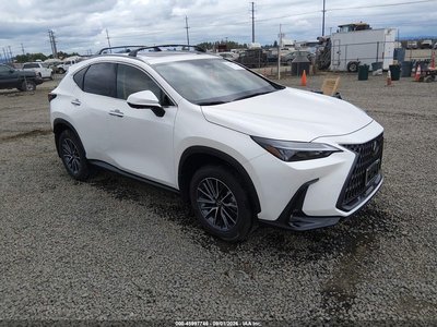 2025 Lexus NX