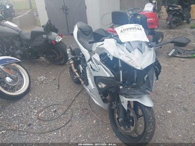 2025 Kawasaki EX500