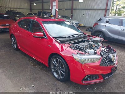 2019 Acura TLX