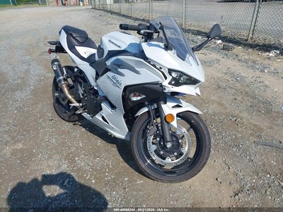 2025 Kawasaki EX500
