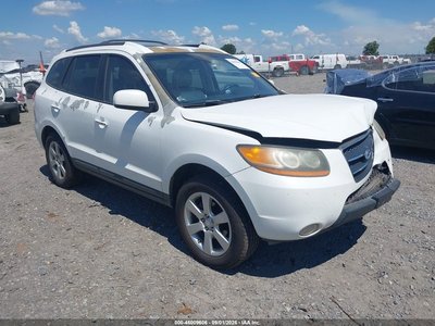 2009 Hyundai Santa Fe