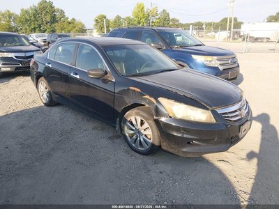 2011 Honda Accord