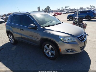 2010 Volkswagen Tiguan
