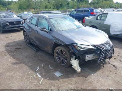 2019 Lexus UX 250h