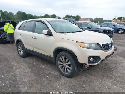 2011 Kia Sorento