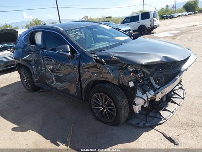 2024 Lexus NX