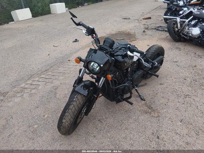 2025 Indian Scout