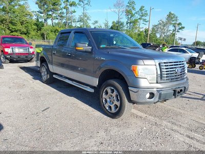 2010 Ford F-150
