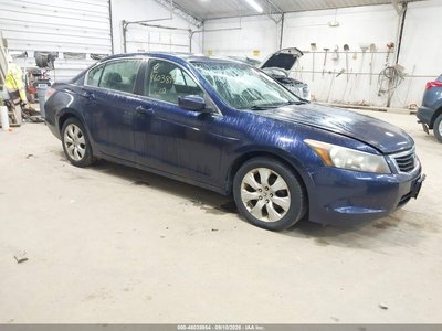 2010 Honda Accord