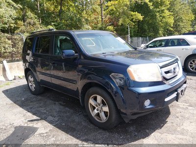 2011 Honda Pilot