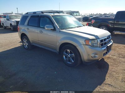 2010 Ford Escape