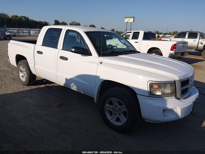 2010 Dodge Dakota