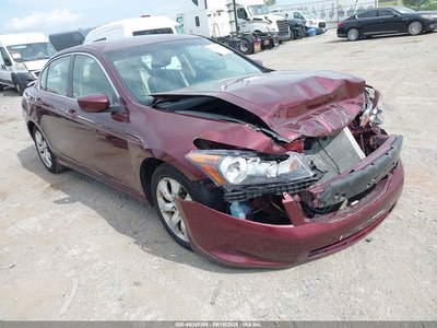 2010 Honda Accord