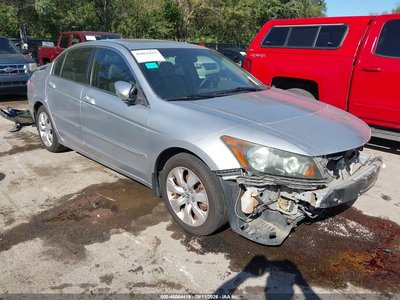 2010 Honda Accord