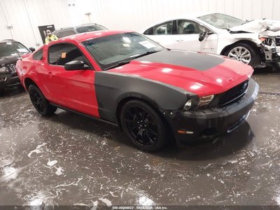 2010 Ford Mustang