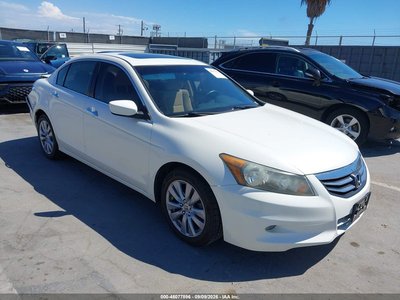 2011 Honda Accord