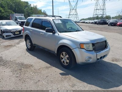 2011 Ford Escape