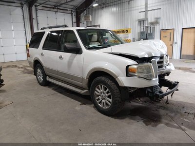 2010 Ford Expedition