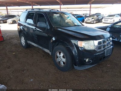 2010 Ford Escape