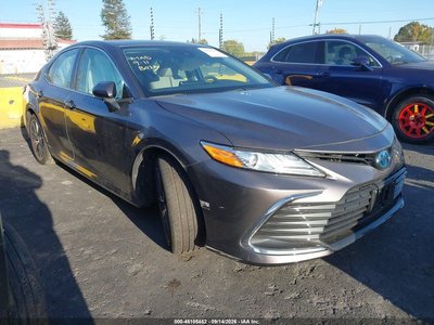 2024 Toyota Camry Hybrid