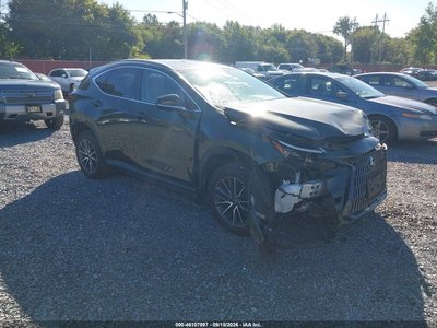 2023 Lexus NX 350