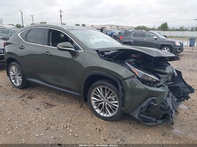2025 Lexus NX
