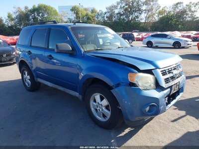 2010 Ford Escape