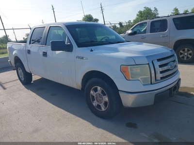 2010 Ford F-150