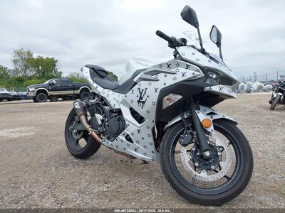 2024 Kawasaki EX500