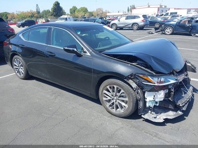 2025 Lexus ES