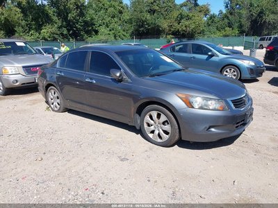 2010 Honda Accord