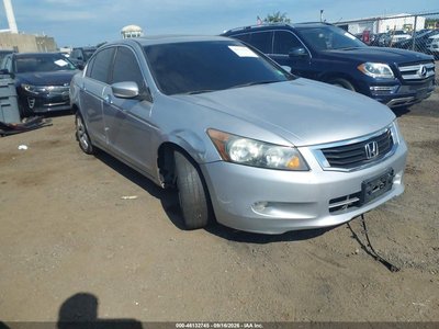 2010 Honda Accord