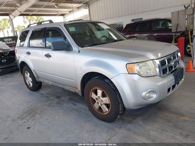 2010 Ford Escape
