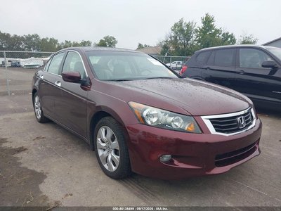 2010 Honda Accord