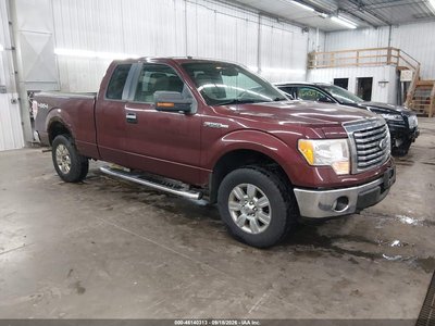 2010 Ford F-150
