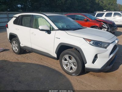 2019 Toyota RAV4 Hybrid