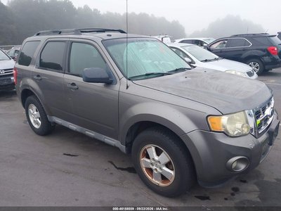 2010 Ford Escape