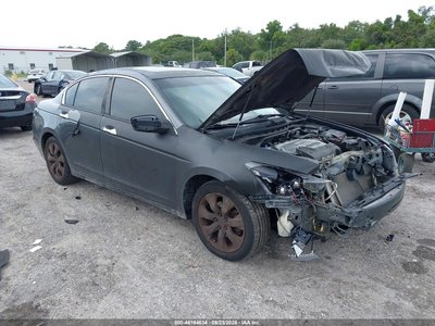 2009 Honda Accord