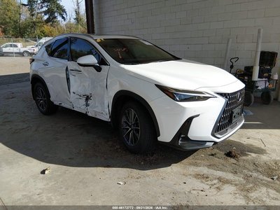 2026 Lexus NX 350