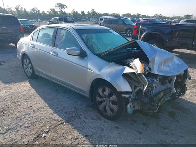 2010 Honda Accord