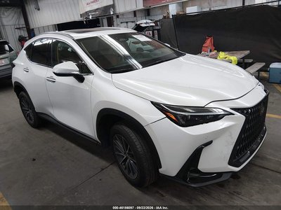 2025 Lexus NX